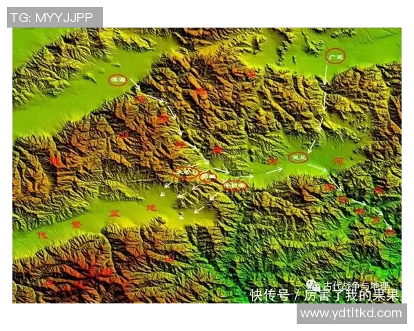 杭州排球队防守体系解析与战术创新探讨