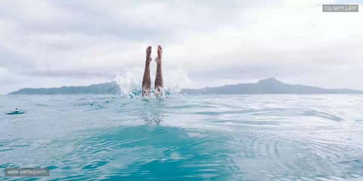 🏀 实时比分,尽在掌握!赛程动态更新,不错过任何逆转📊